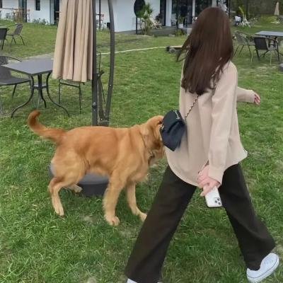 狼人之墓