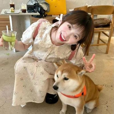 婚礼年